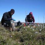 GVSU receives $1 million grant to study impact of climate change on Arctic vegetation